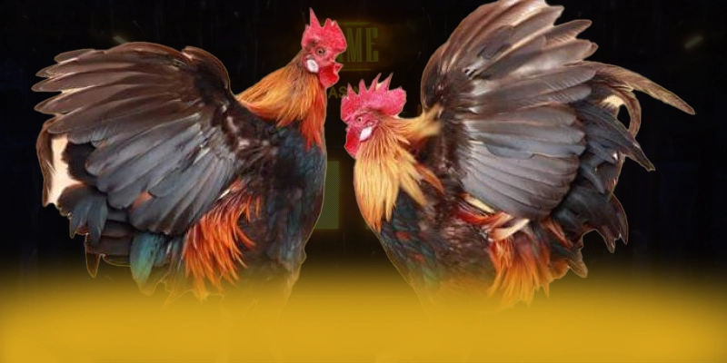 LC88 - Cổng trò chơi có quà tặng đặc biệt trên thị trường – Cập nhật ngay LC88 LC88 - Cổng trò chơi có quà tặng đặc biệt trên thị trường – Cập nhật ngay LC88