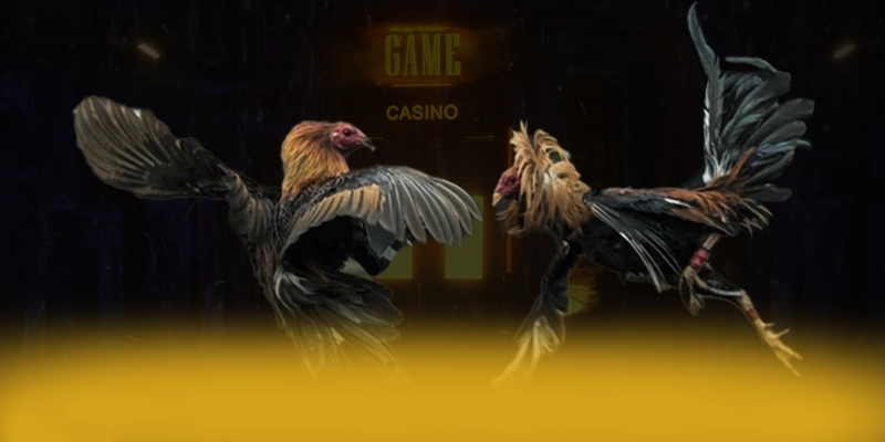 DAGA88 - Cổng trò chơi sở hữu top trò chơi nổi bật được đánh giá cao – Khám phá sản phẩm hấp dẫn của DAGA88 DAGA88 - Cổng trò chơi sở hữu top trò chơi nổi bật được đánh giá cao – Khám phá sản phẩm hấp dẫn của DAGA88