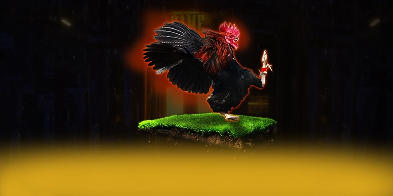 LC88 - Cổng giải trí tối ưu được quan tâm hàng đầu LC88 - Cổng giải trí tối ưu được quan tâm hàng đầu