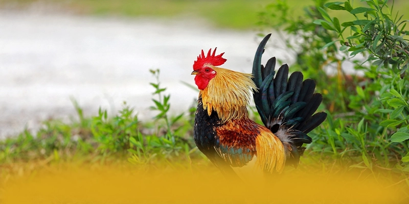 789WIN - Thương hiệu với nhiều tựa game đổi thưởng hấp dẫn 2025 – Khám phá danh mục giải trí của 789WIN