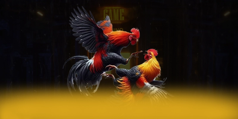 GO8 - Nền tảng cá cược trực tuyến an toàn tại Việt Nam – Khám phá GO8 GO8 - Nền tảng cá cược trực tuyến an toàn tại Việt Nam – Khám phá GO8