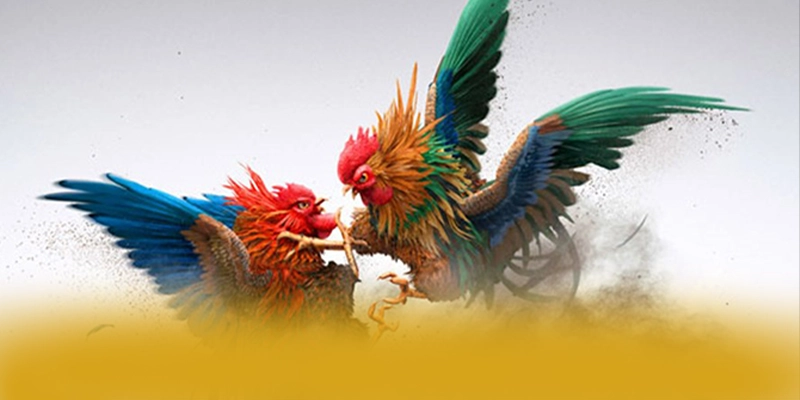 GEM88 - Tổng kết hành trình phát triển một cách toàn diện. GEM88 - Tổng kết hành trình phát triển một cách toàn diện.