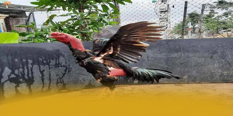 tài xỉu online – Cổng cá cược hàng đầu Việt Nam, đang làm mưa làm gió trên thị trường.