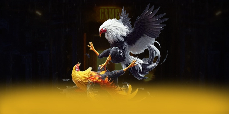 SUNWIN - Cổng game phổ biến hàng đầu đang làm mưa làm gió SUNWIN - Cổng game phổ biến hàng đầu đang làm mưa làm gió