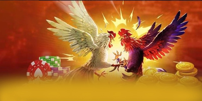 WIN79 - Kết luận & gợi ý trải nghiệm từ trải nghiệm thực tế.