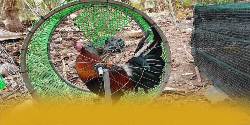 GEM88 – Cổng game đẳng cấp, được người chơi yêu thích. GEM88 – Cổng game đẳng cấp, được người chơi yêu thích.